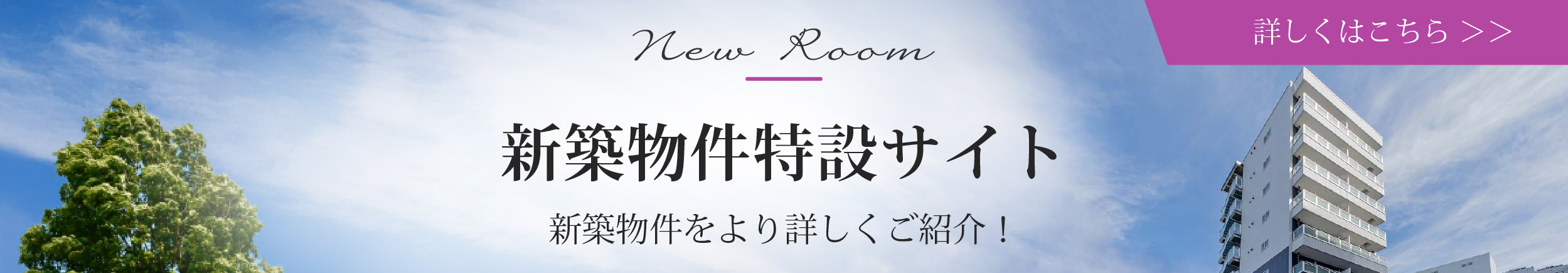 New Room 新築物件特集 新しい部屋 新しい暮らし