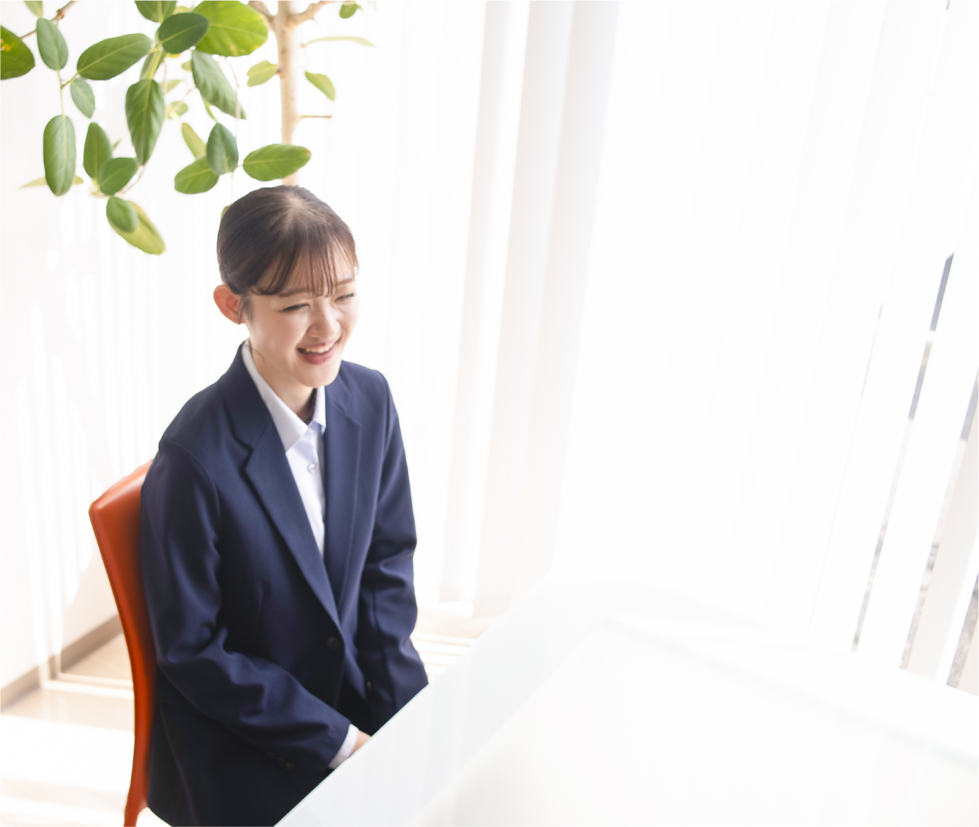 上からの写真
